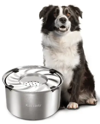 Stainless-Steel No-Spill Dog Water Bowl