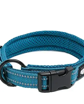 Soft Reflective Padded Nylon Dog Collar