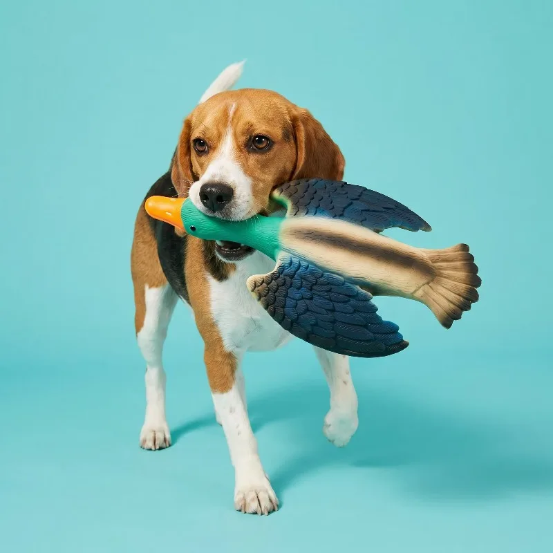 Natural-latex duck squeaker dog toy