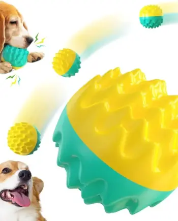 Textured TPR Squeaker Dog Toy — view 1