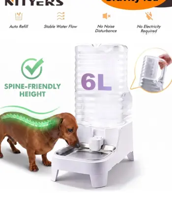 6L gravity dog water dispenser with stainless-steel tray