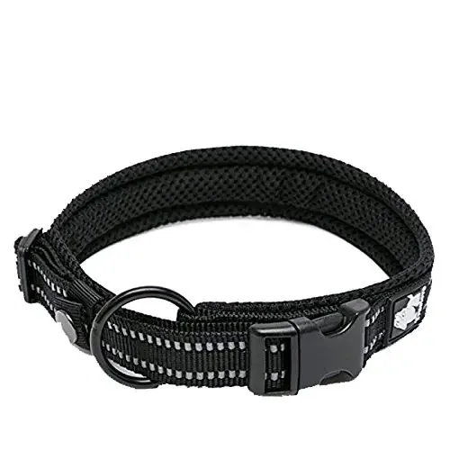 Soft Reflective Padded Nylon Dog Collar - Image 2