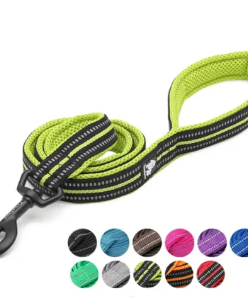Reflective Padded Dog Leash with Comfort Handle