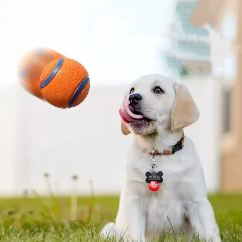 Elastic Fetch Ball for Dogs — view 3