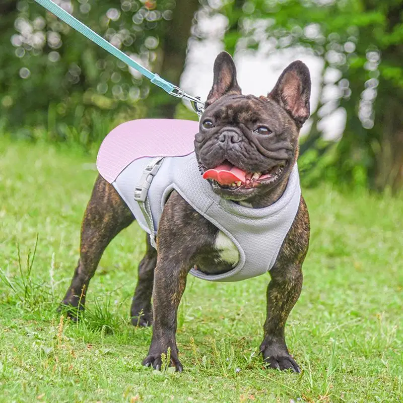 Three-Layer Dog Cooling Vest - Image 4