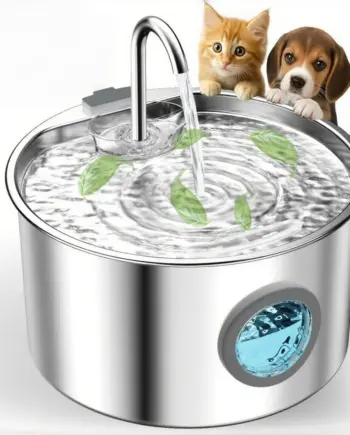 Stainless-Steel Dog Water Fountain