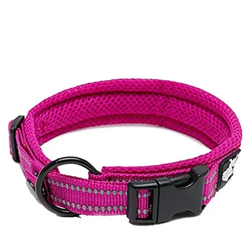 Soft Reflective Padded Nylon Dog Collar - Image 3
