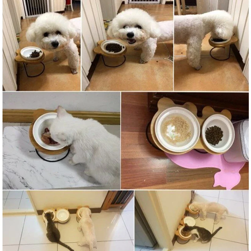 Double Ceramic Dog Bowl Set view 6