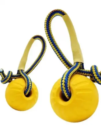 Rubber Training Ball with Rope — view 1