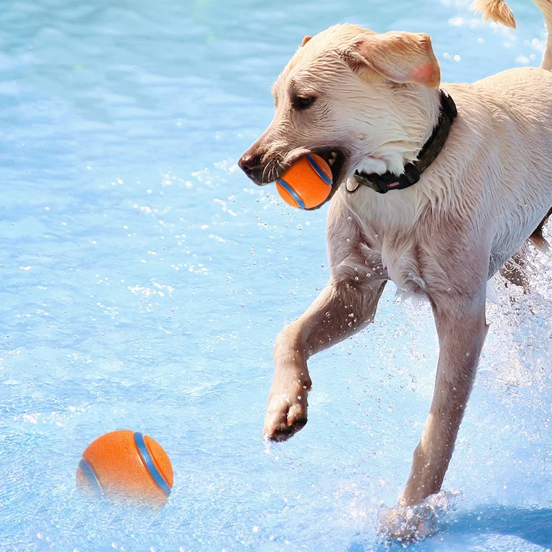 Elastic Fetch Ball for Dogs — view 4