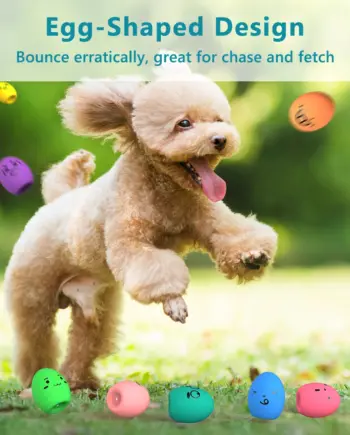 Latex Squeaker Egg Dog Toy Set