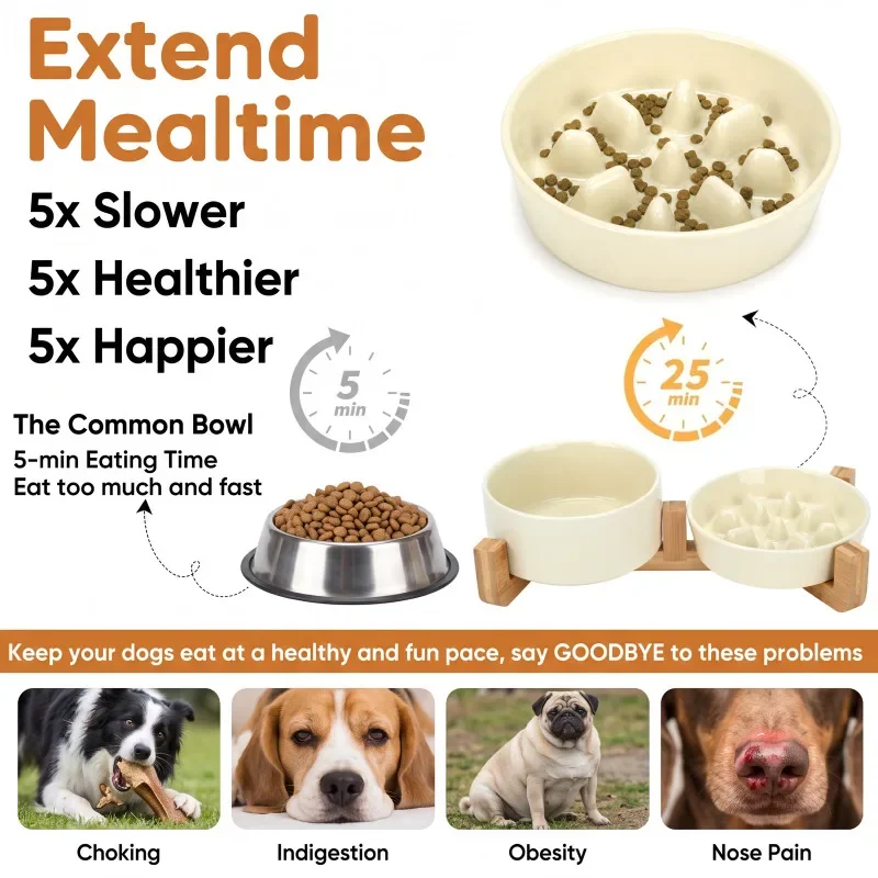 Elevated Ceramic Dog Bowl Set with Wooden Stand detail 5