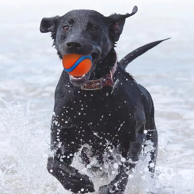 Elastic Fetch Ball for Dogs — view 6