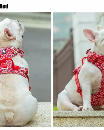 Floral Cotton Dog Harness with Reflective Webbing
