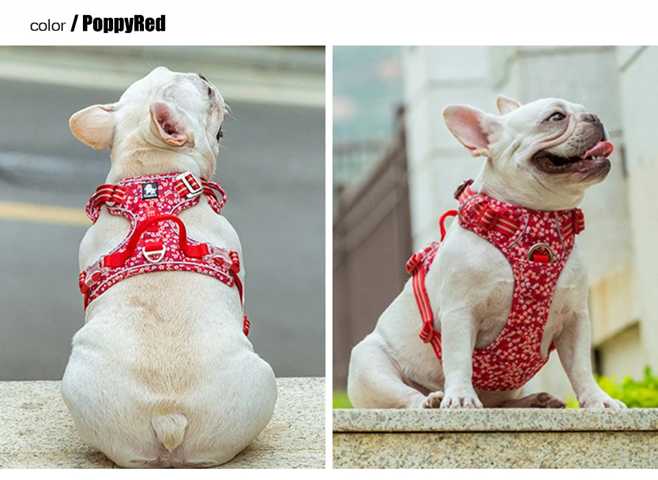 Floral Cotton Dog Harness with Reflective Webbing