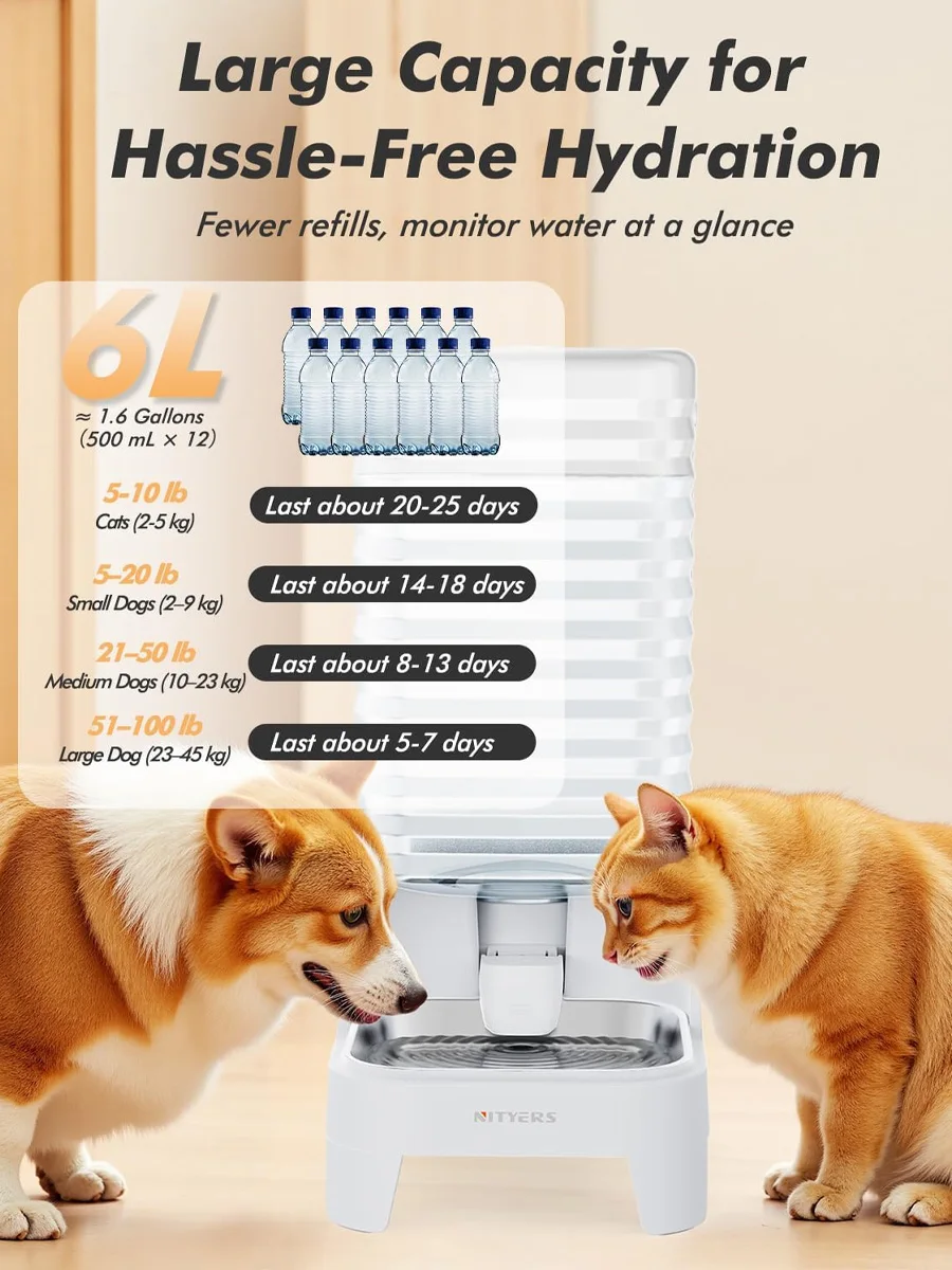6L gravity dog water dispenser with stainless-steel tray view 2