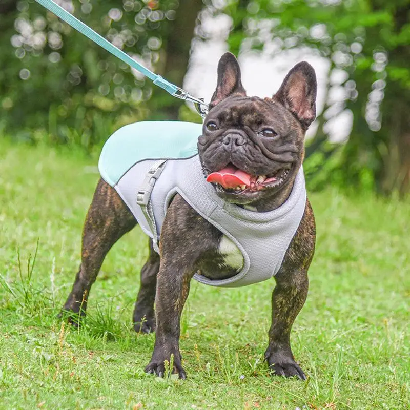 Three-Layer Dog Cooling Vest - Image 2