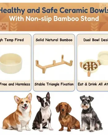 Elevated Ceramic Dog Bowl Set with Wooden Stand