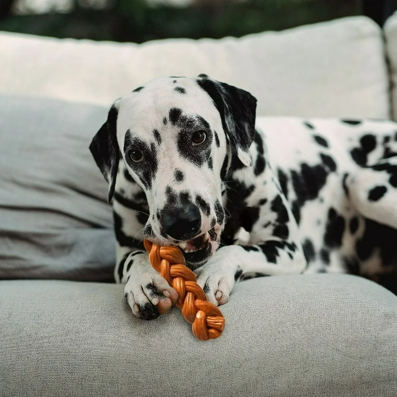 Bamboo-fibre blend dog chew stick view 4