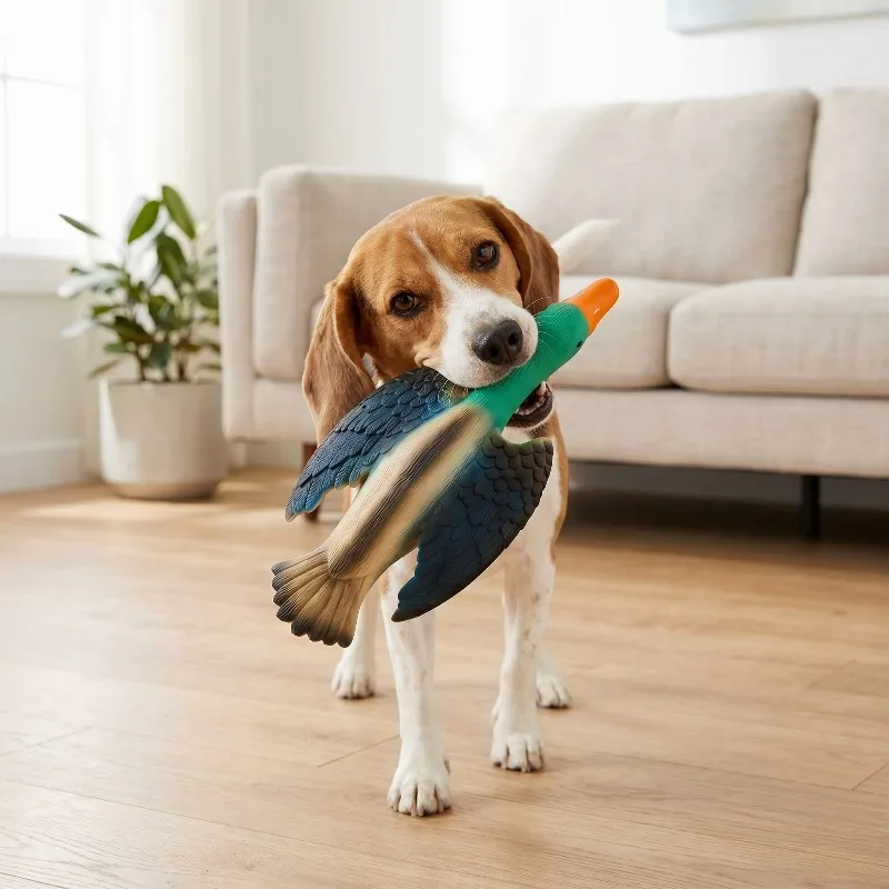 Natural-latex duck squeaker dog toy view 3